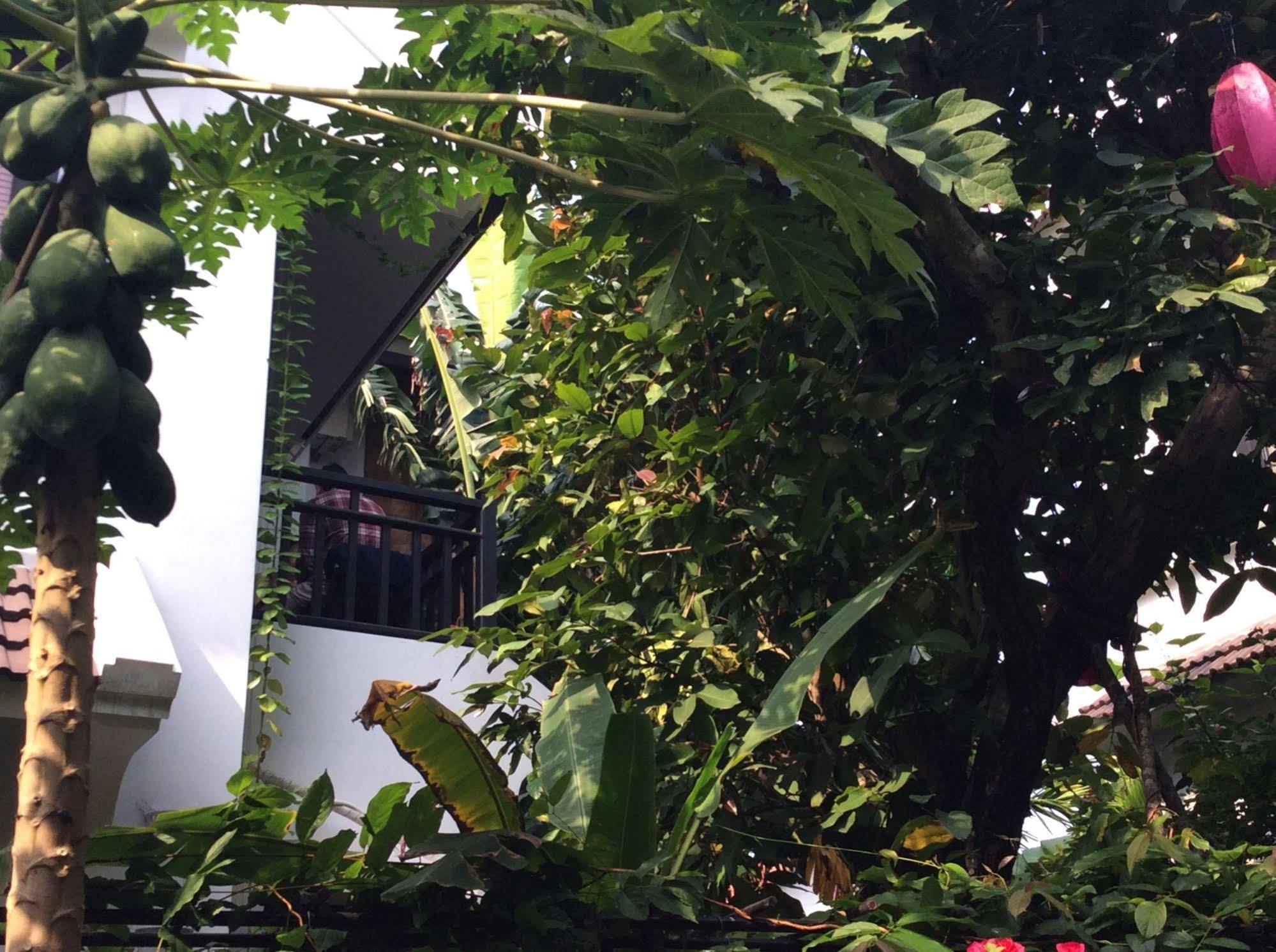 East West Villa Хой Ан Екстериор снимка